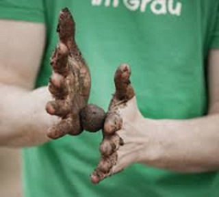 Natur verbreiten mit Samen-Bomben