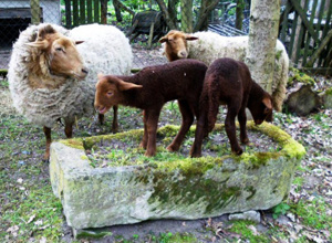 Ganz "besonderen" Spielplatz erhalten