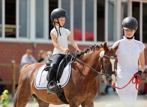 Ein Pferdeanhänger für die Schulpferde-Abteilung