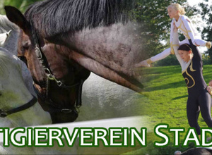 Video - Ein Pferd für den Voltigierverein Stadtlohn e.V.