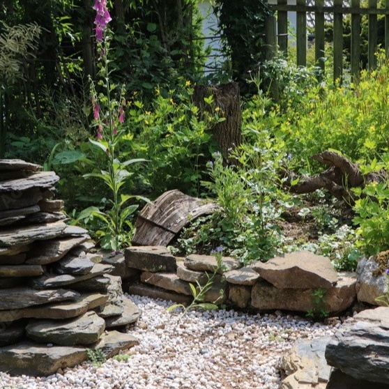 Gartengestaltung für Kinder und Jugendliche der Limburger Dommusik