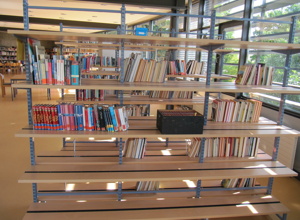 Inklusives Lese- und Lernzentrum IGS Kandel