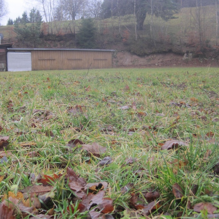 Sanierung und Pflege vom Sportplatz in Gresgen