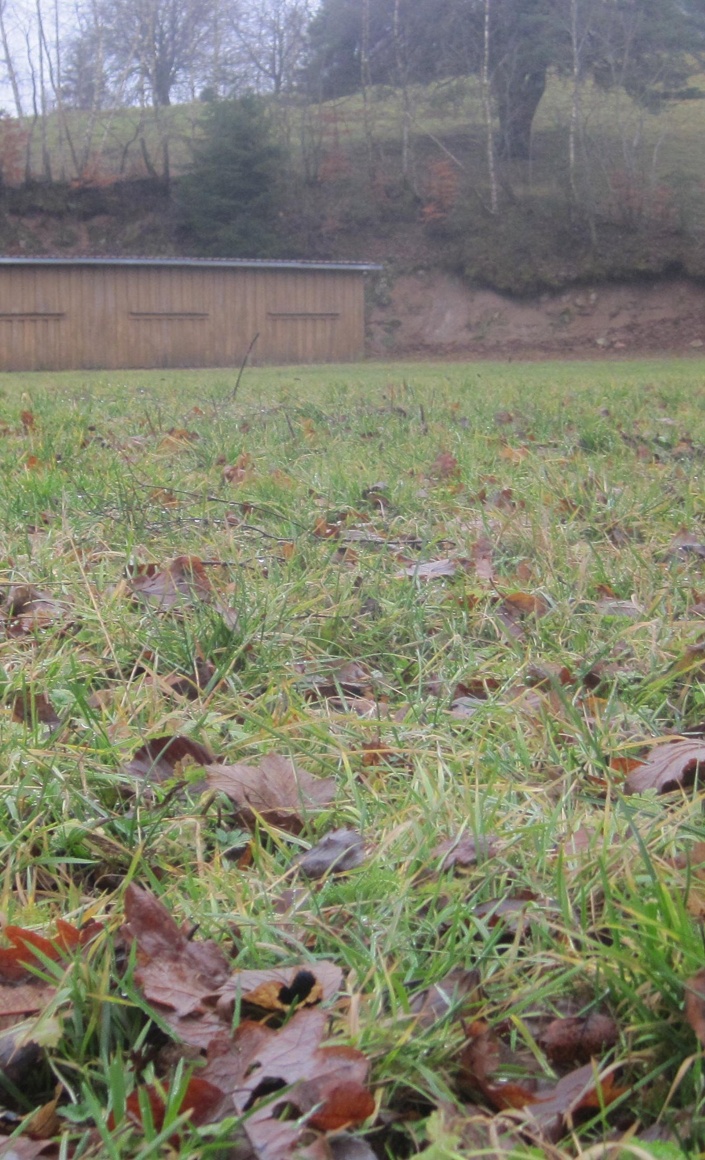 Sanierung und Pflege vom Sportplatz in Gresgen