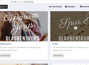 Online Kurs