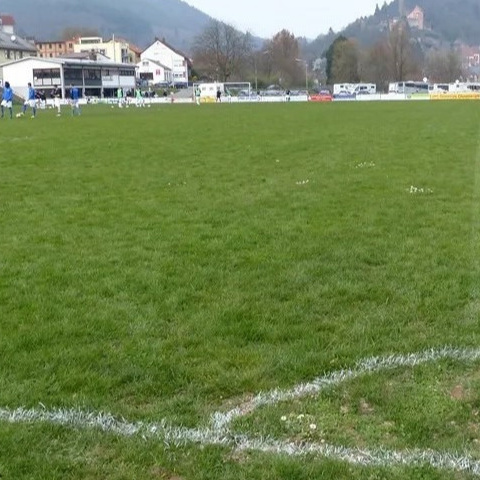 Mähroboter FC Hirschhorn