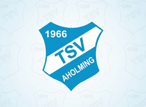 Anschaffung Trainingsbälle TSV Aholming