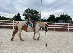 Abziehgerät für den Reitplatz des RZV Alftal