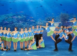 Showtanzkostüm 2015/2016