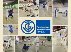 Anschauffung neuer Judo-Matten (Turngemeinde Veitshöchheim 1877 e.V.)