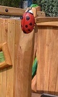 Klettergerüst U3 Kinder