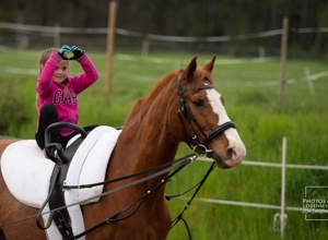 Verstärkung für unser Pferdeteam