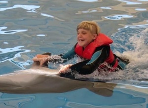 Ein Delphin für Lea