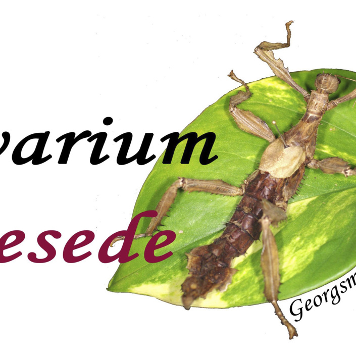 Vivarium Oesede - Neuer Raum sucht neue Technik