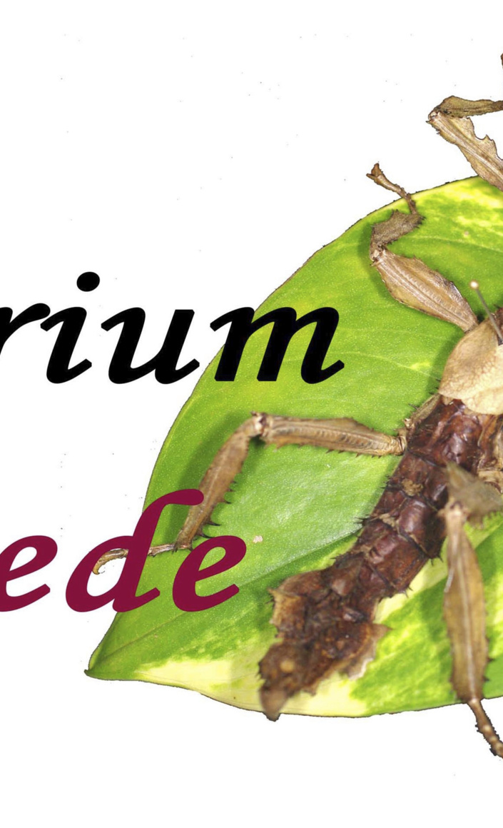 Vivarium Oesede - Neuer Raum sucht neue Technik