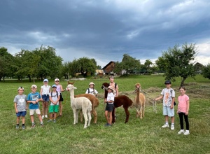 Neue Instrumente für die Bläserklasse MVG