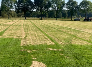 Anschaffung von Jugendfußballtoren und Regeneration der Fußballplätze