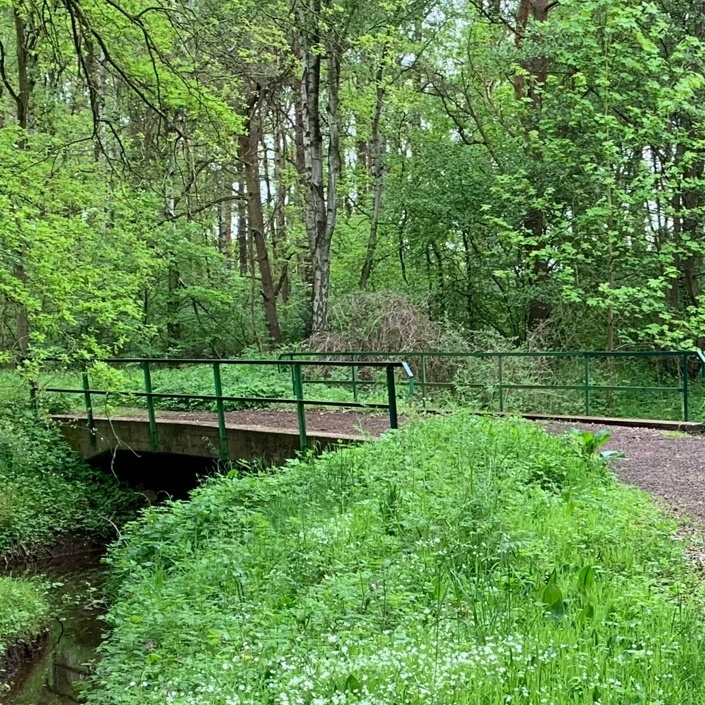 Ausbau vom Rad/Wanderweg zur Verbindung Otternhagen und Scharrel