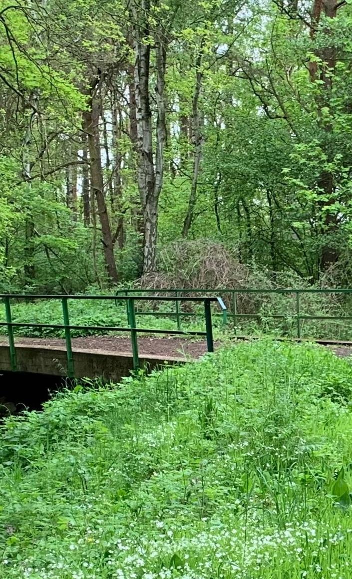 Ausbau vom Rad/Wanderweg zur Verbindung Otternhagen und Scharrel