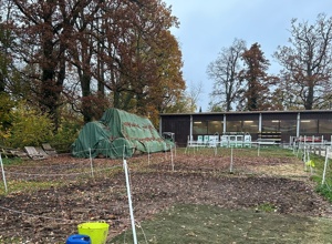 Sanierung der Winterpaddocks für Schul-, Freizeit- und Turnierpferde
