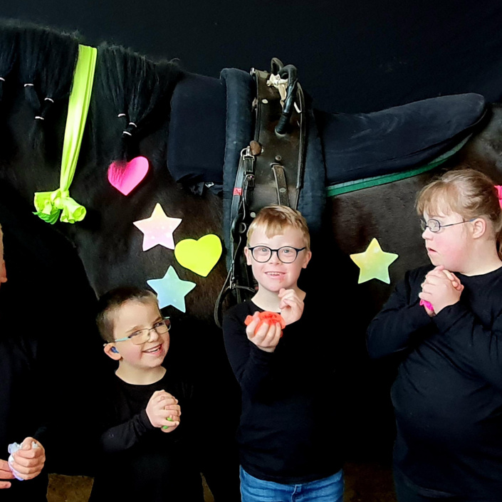 Heilpädagogisches Voltigieren/Reiten