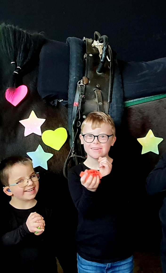 Heilpädagogisches Voltigieren/Reiten