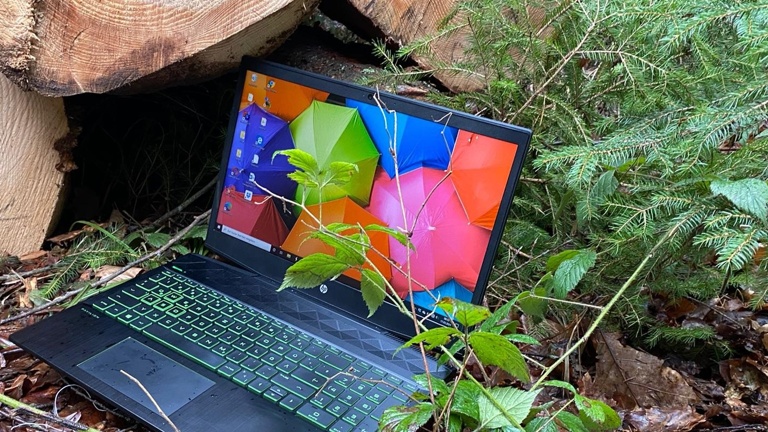 Medien und Natur