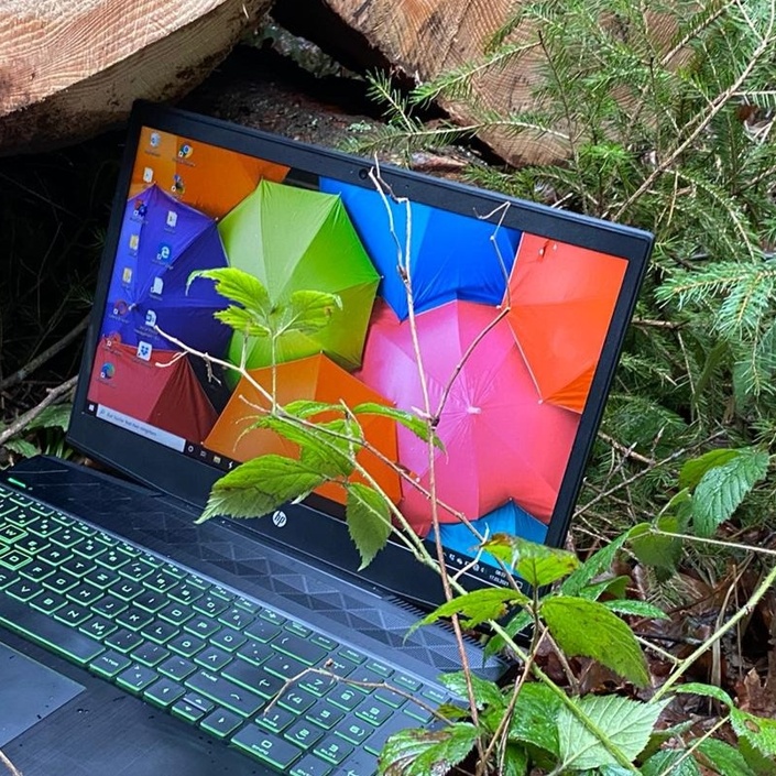 Medien und Natur