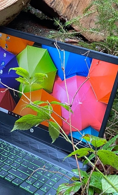 Medien und Natur