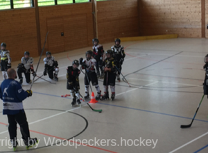 WOODPECKERS-InlineHockeyCourt