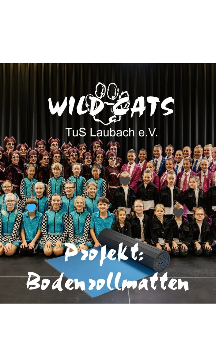 Neue Trainingsmatten für die Wild Cats
