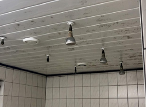 Neubau und Umgestaltung Umkleideräume TVK
