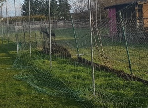 Neugestaltung Trainingsbereich für die Jugend