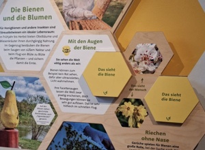 Interaktive Stationen in der Natur Werkstatt Streuobstwiese
