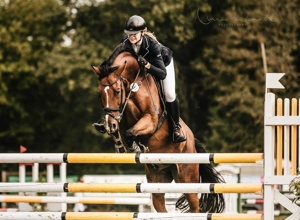 Erster Reitplatztrecker und -planer