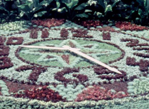 Blumenuhr 2021