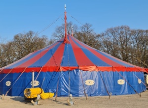 Zirkus Hastissimo