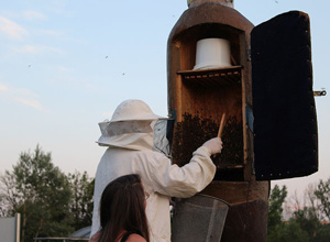 Figurenbeuten für Bienen im Aischgrund
