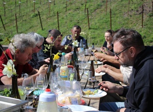 Weinwald Begegnungsort