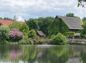 Erhalt der Tüshaus Mühle - Wasserkraft braucht Mühlenwehr