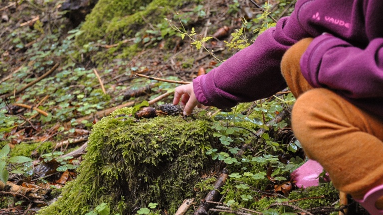 Ein Platz für die „Thingauer Wurzelkinder“