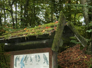 Naturlehrpfad/Kindernaturerlebnispfad "Ritterweg" Hiltpoltstein