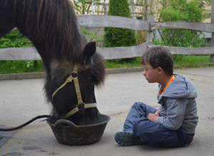 Ein Dach für die Pferde auf dem Kinderbauernhof
