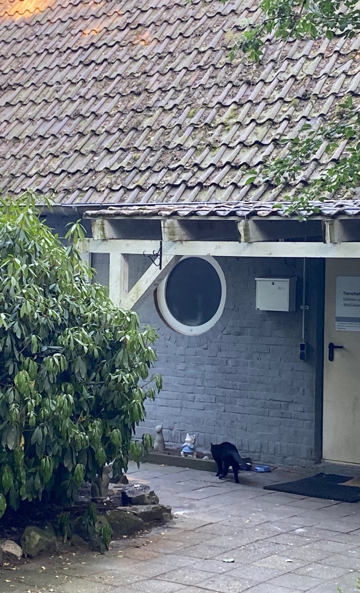 Neuer Spielplatz für das Katzenhaus