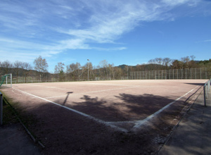 SV Bühlertal Kunstrasen 