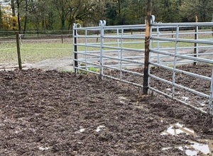 Paddocks für das ganze Jahr