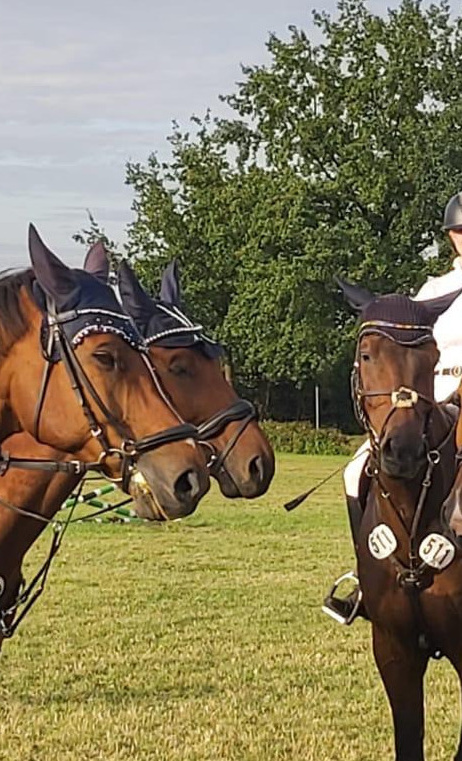 Aufbau Pferdesportverein Wiedenbrück - Anschaffung Lehrmaterial