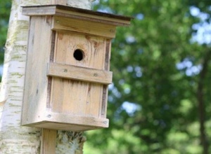 Nistkästen für heimische Vögel