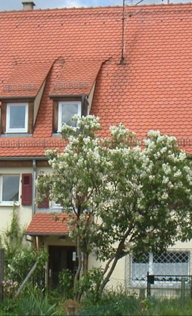 Sanierungsarbeiten im Beginenhaus Hagelloch