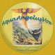 Hildegard von Bingen CD „AquaAngelusVox“